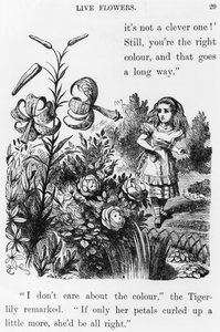 Tiger Lily, from 